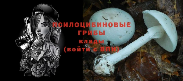 тгк Киреевск