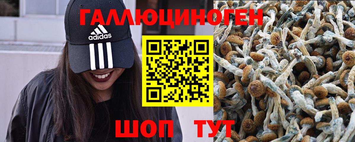 Ногинск  Галлюциногенные грибы ЛСД  Вход с VPN  Псилоцибиновые грибы Magic Shrooms 