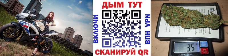 Бошки марихуана семена  купить  сайты  Ногинск 